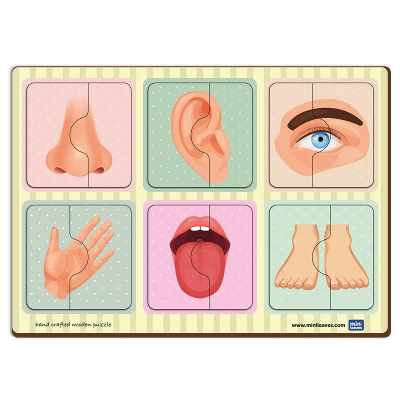 2 Piece Of Human Body Parts Puzzle (Set of 6)